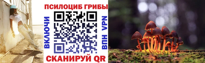 Псилоцибиновые грибы Cubensis  Кореновск 